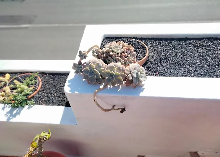 Casa Llamedos * Пуэрто дель Кармен