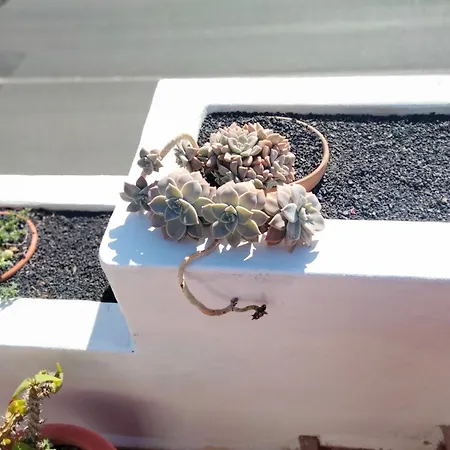 Casa Llamedos * פוארטו דל כרמן